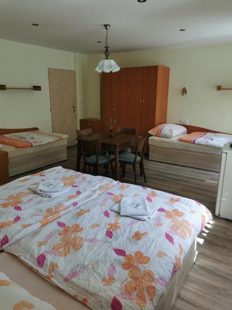 Hotel Alster Jevíčko Esterno foto